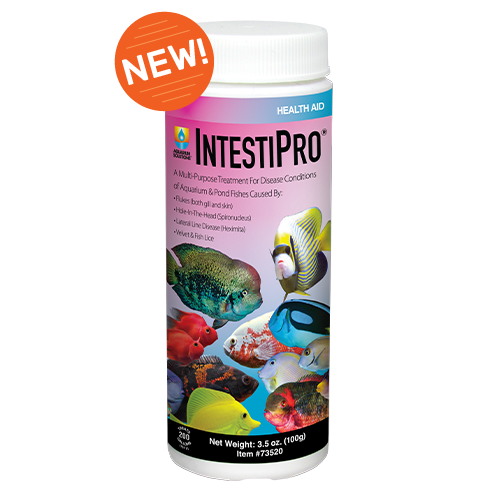 IntestiPro - 3.5oz