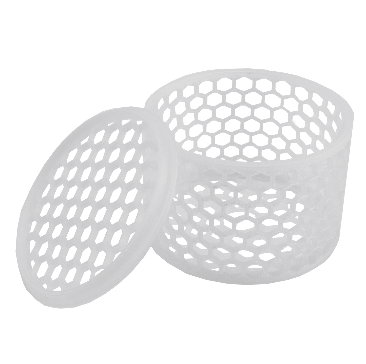 Mushroom Cage - 2’’ / Clear - Home & Garden