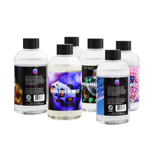 Texas Copepod Zooplankton - 6 Bottle Bundle - Zooplankton