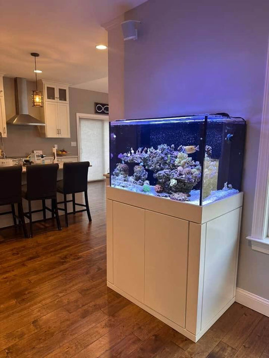 120 Gallon Glass Aquarium Rimless Low Iron Glass Front Standard