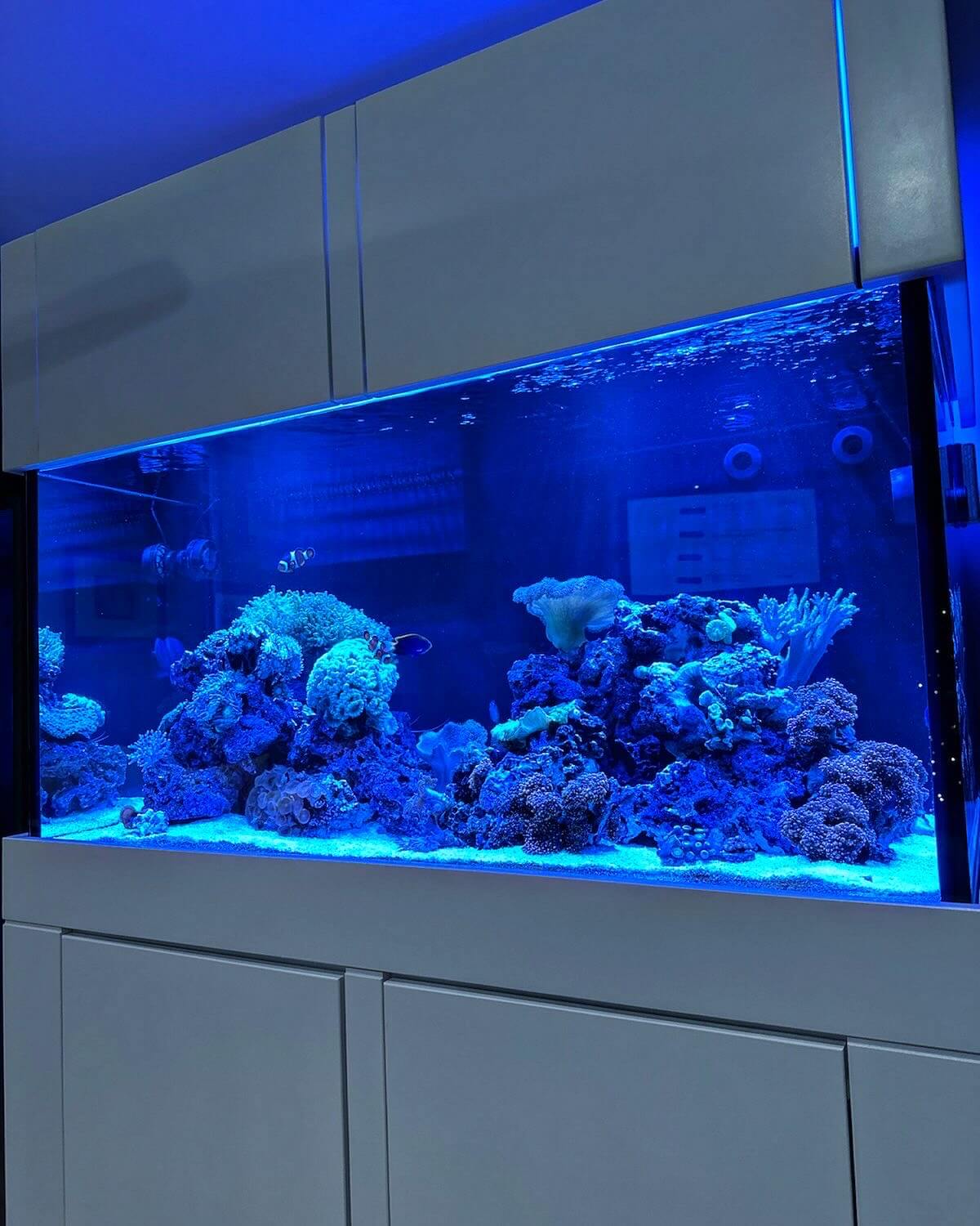 120 Gallon Glass Aquarium with Euro-Bracing and Black Trim Low Iron Glass Front Standard