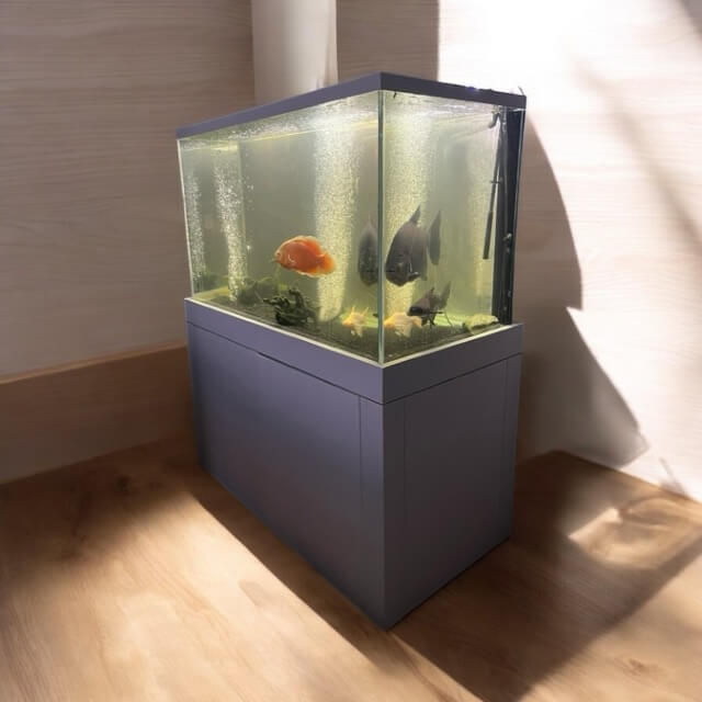 90 Gallon Glass Aquarium with Euro-Bracing and Black Trim Low Iron Glass Front Standard