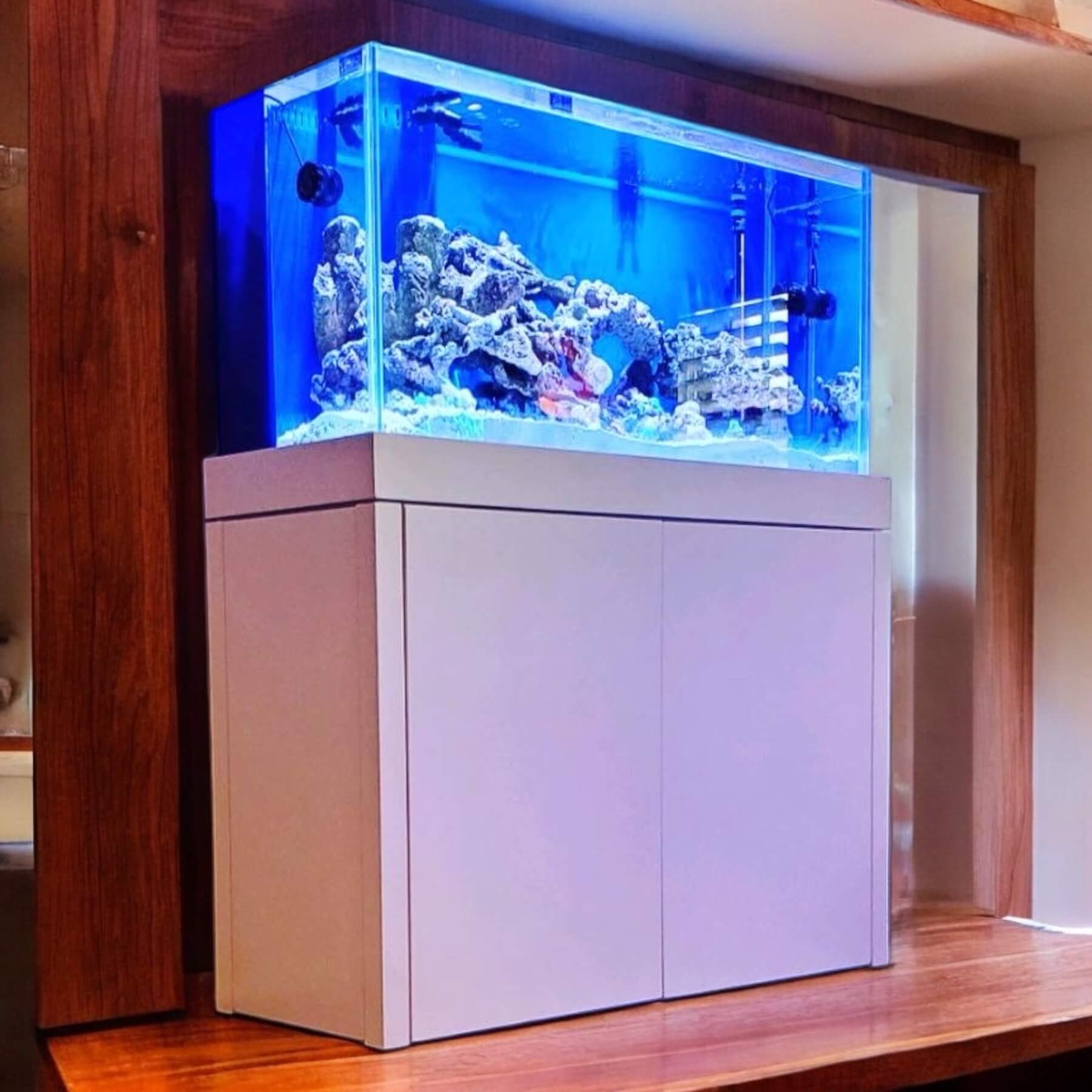 90 Gallon Rimless Glass Aquarium Low Iron Glass Front Standard