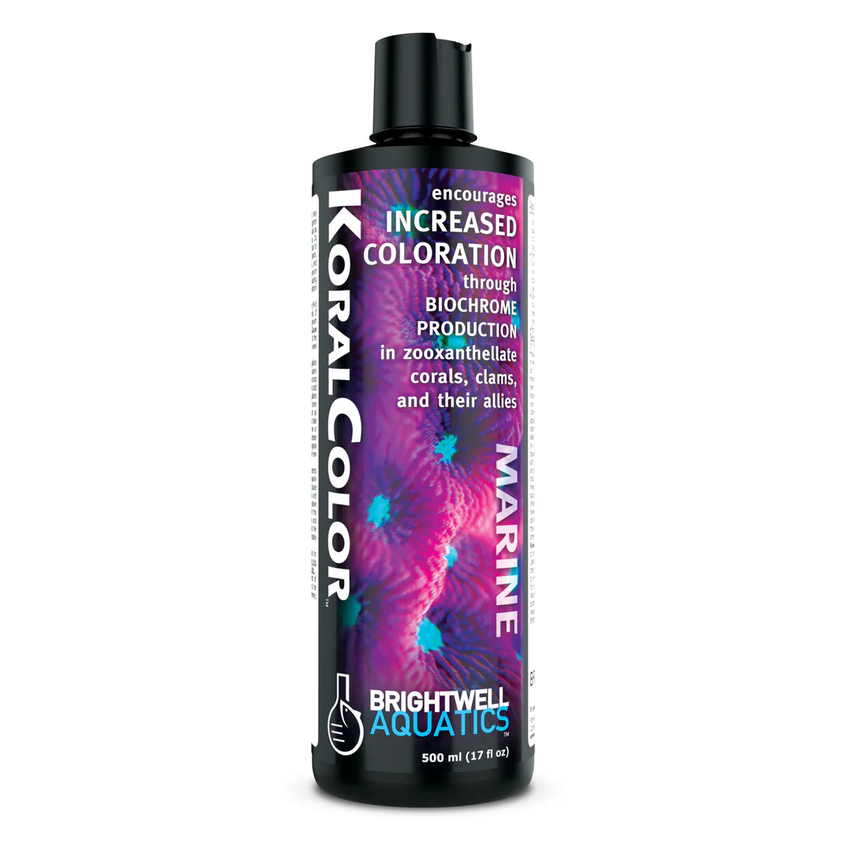Koral Color -Brightwell