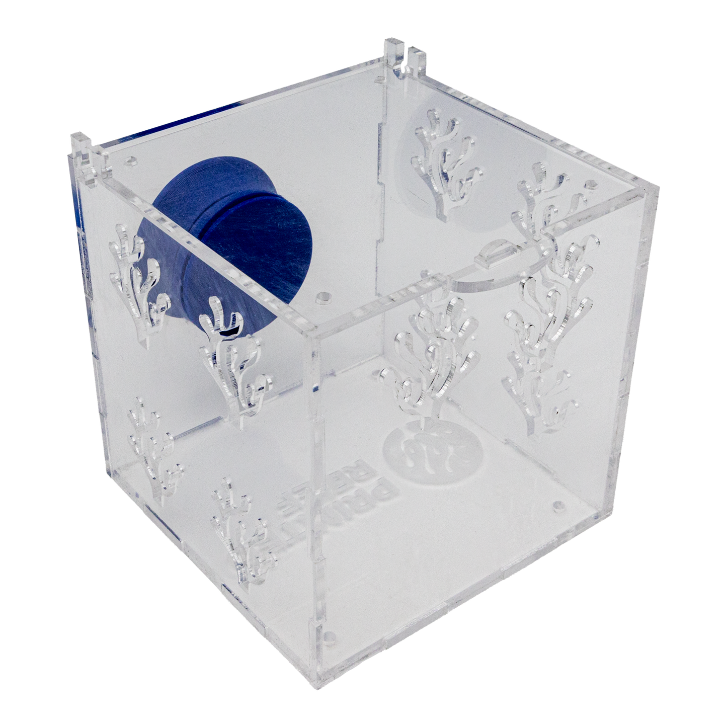 Acrylic Anemone/Fish Acclimation Box - 4’’ x 4’’ x 4’’ Cube / Black - Animals & Pet Supplies