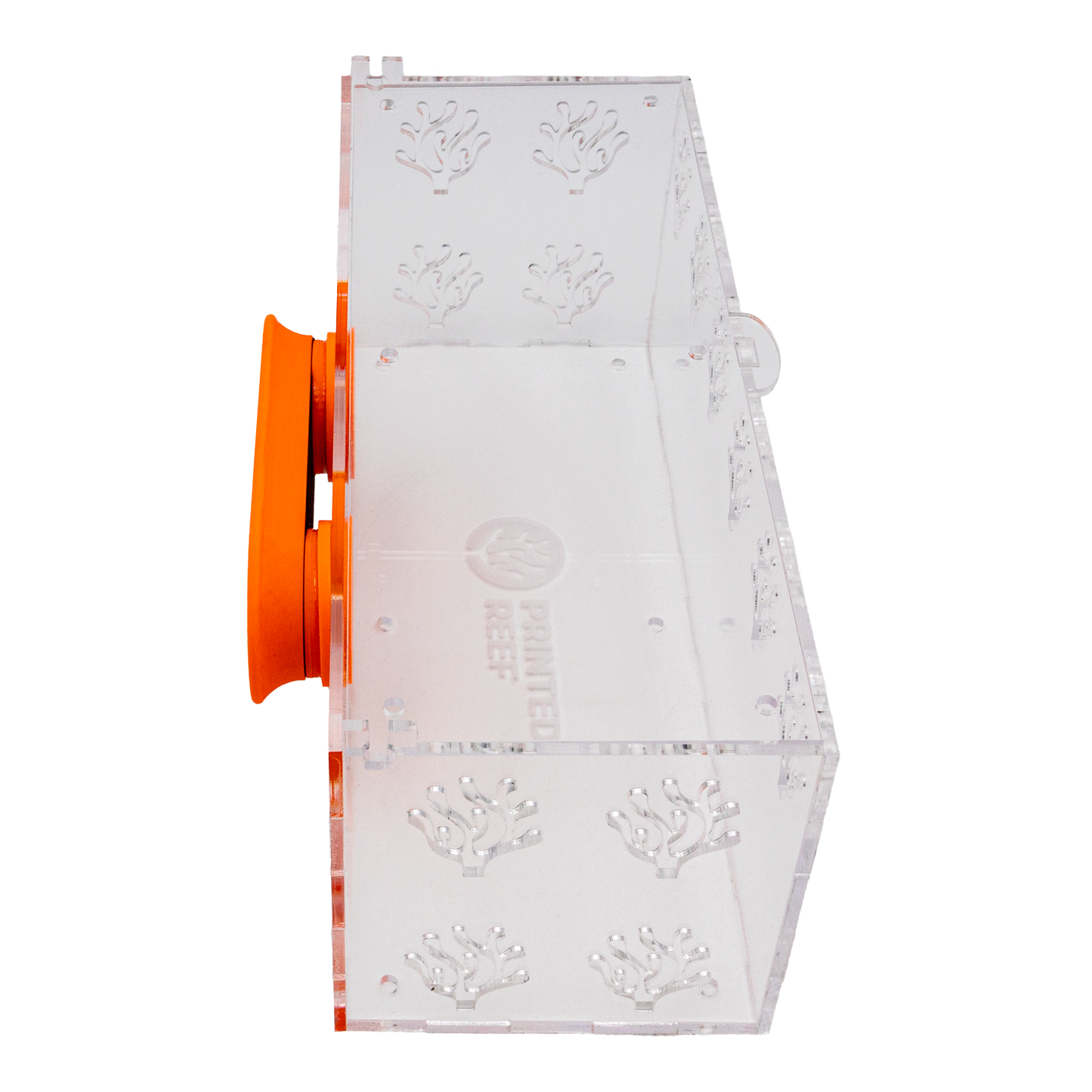 Acrylic Anemone/Fish Acclimation Box - Animals & Pet Supplies