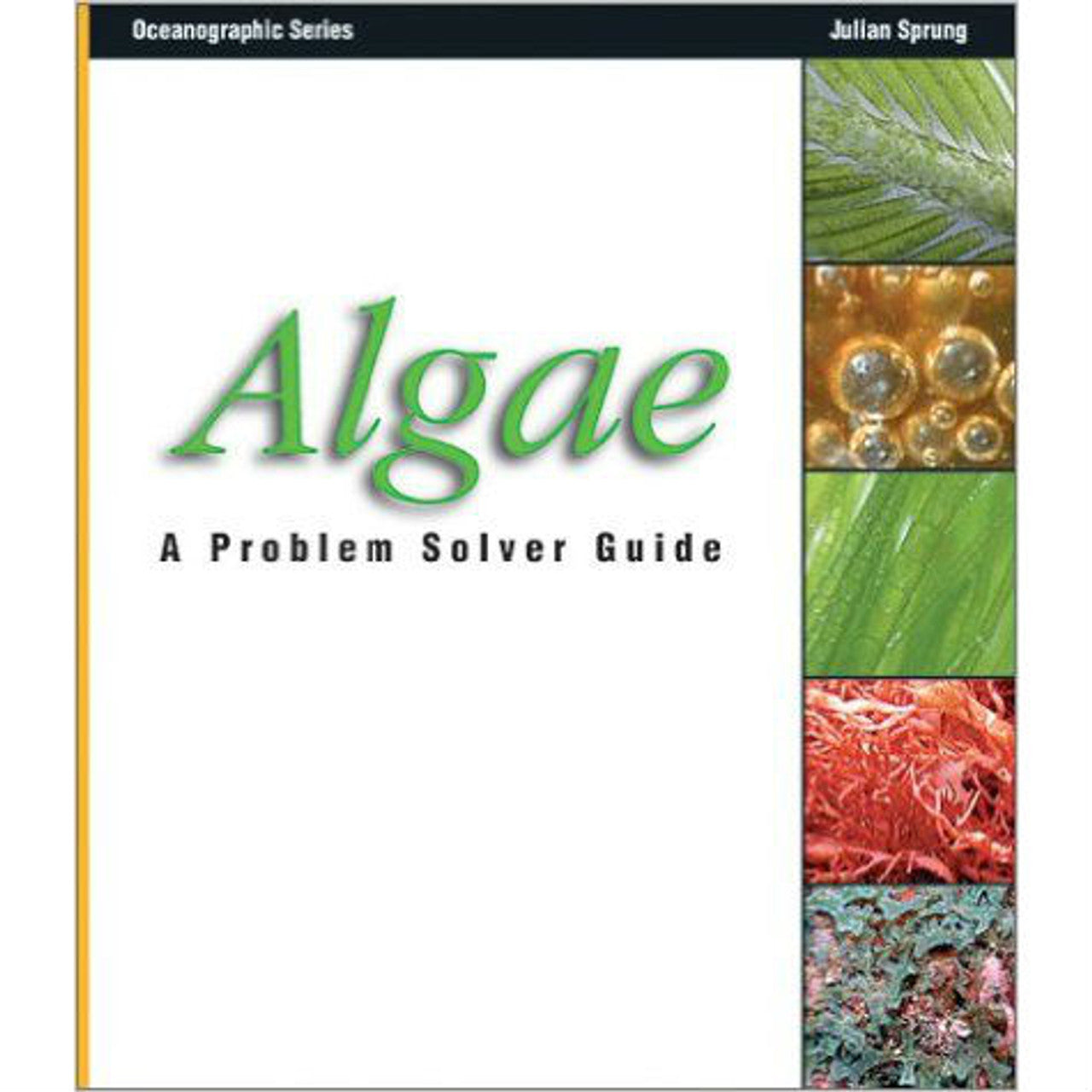 Julian Sprungs Algae: A Problem Solving Guide Book - Two Little Fishies