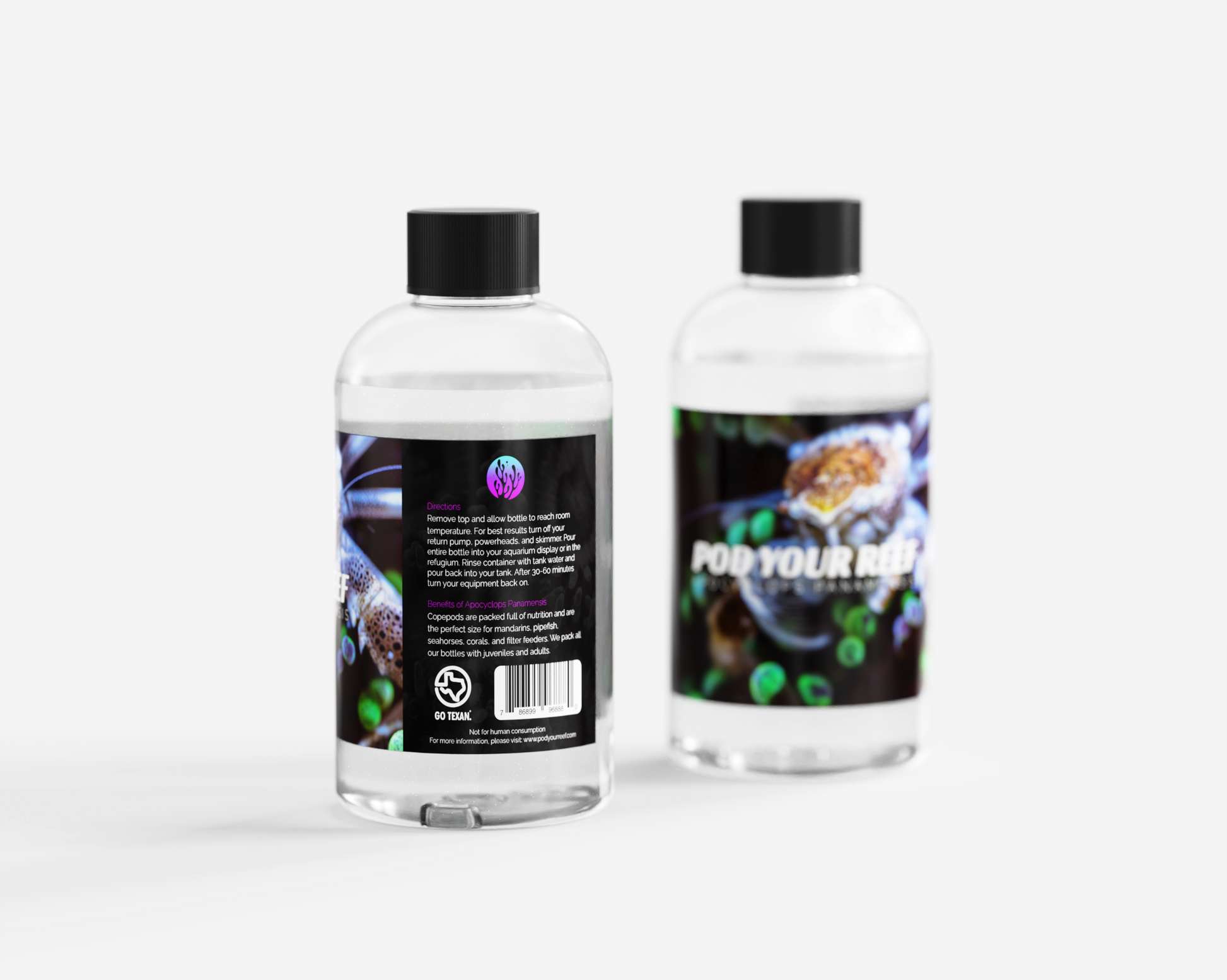 Apocyclops panamensis Reef Copepods - Zooplankton