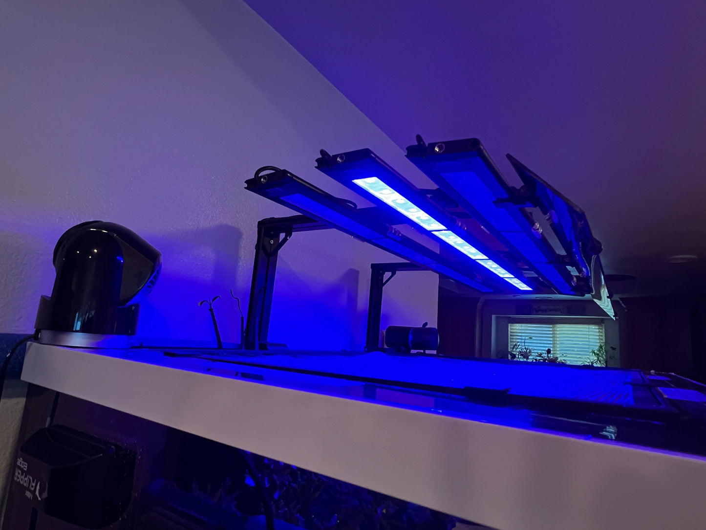 AquaIllumination Blade Light Shade Set of 2 (Coral Grow Glow Freshwater Refugium) - light shade