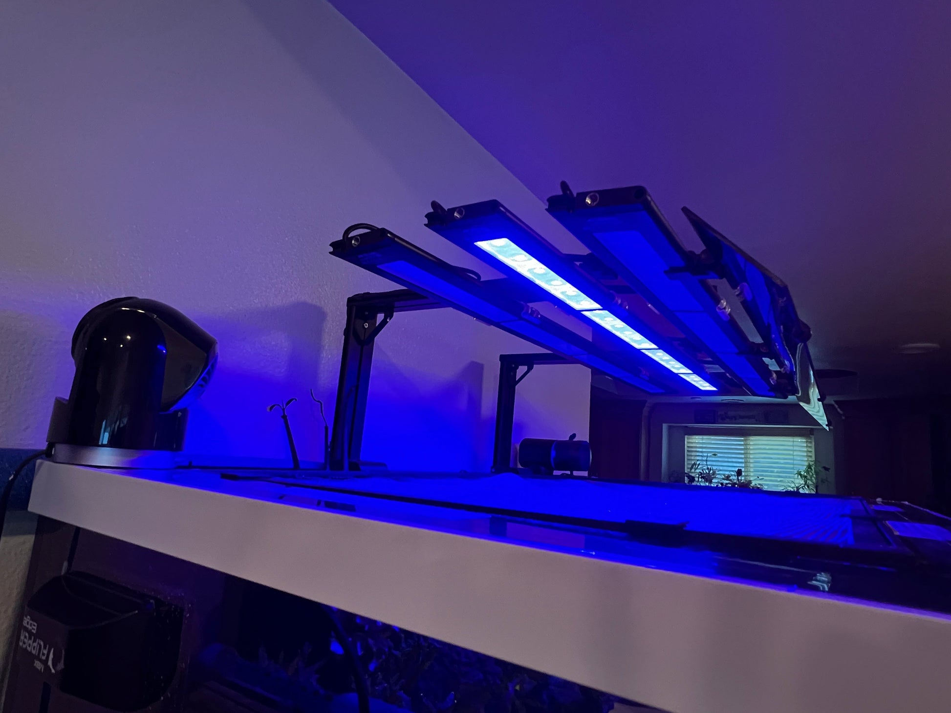 AquaIllumination Blade Light Shade Set of 2 (Coral Grow Glow Freshwater Refugium) - light shade