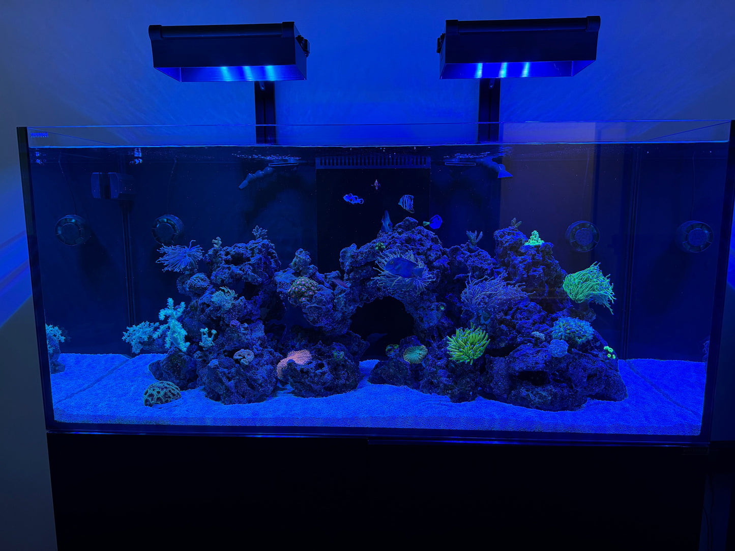 AquaIllumination Hydra Edge 44HD Light Shade - light shade