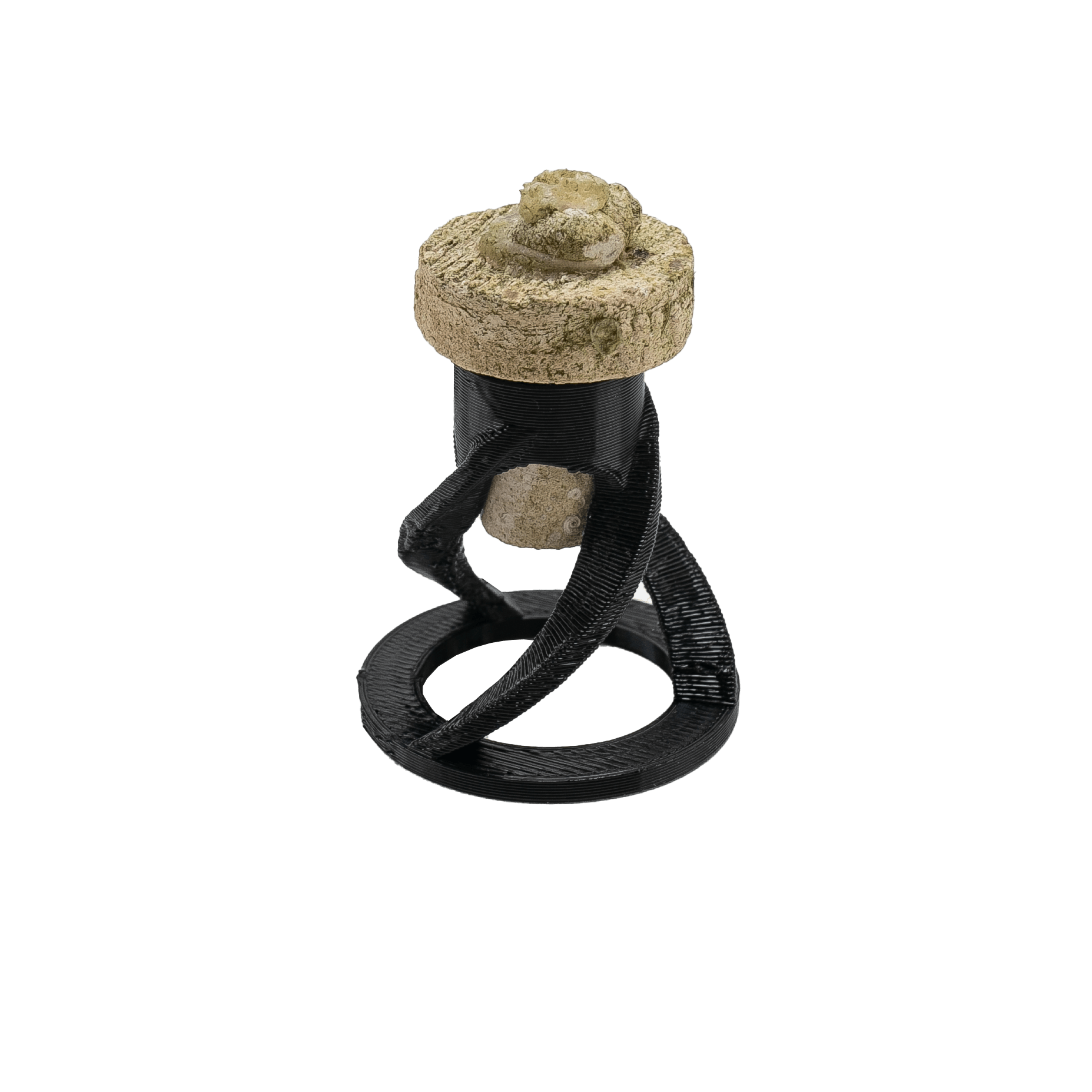 Coral Frag Plug Sand Stands - Set of 5 - Animals & Pet Supplies