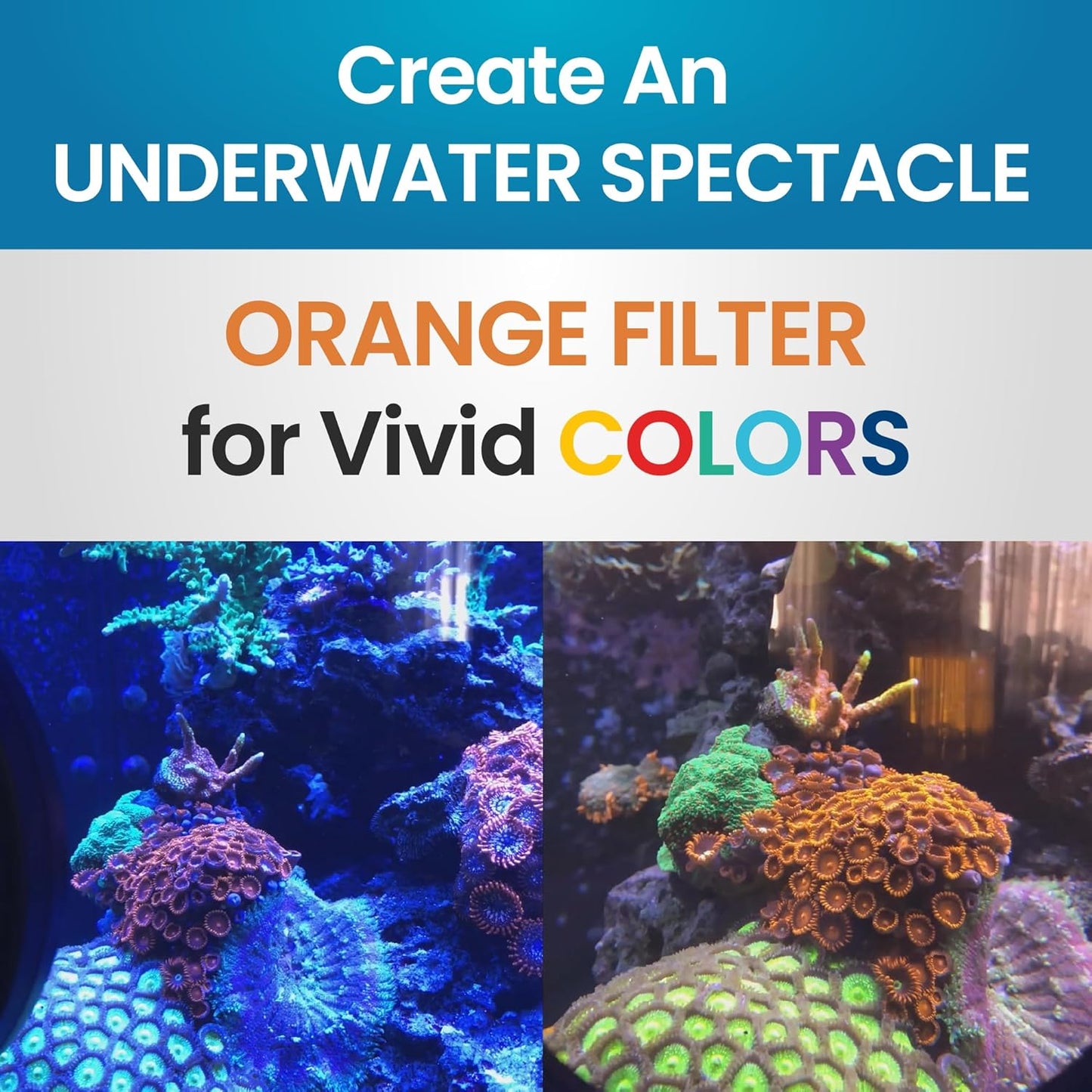 DeepSee Viewer Black 4’’ - Orange Filter - Aquarium Viewer