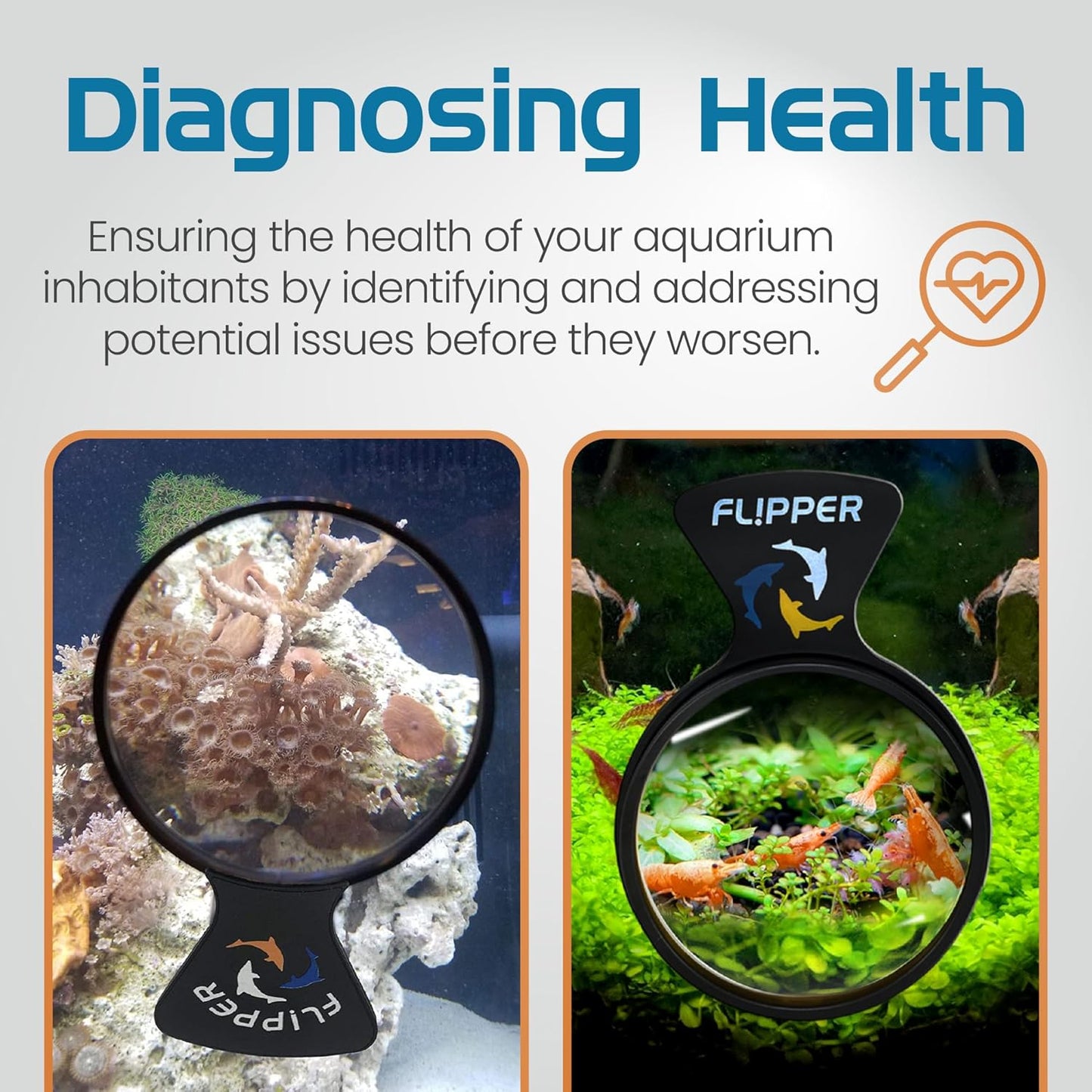 DeepSee Viewer Black Max 5’’ - Aquarium Viewer