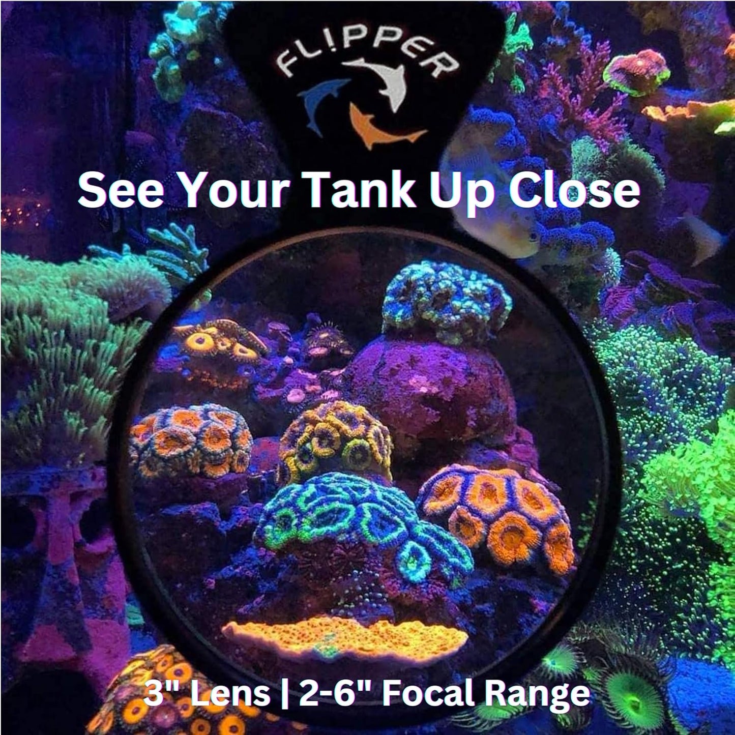 DeepSee Viewer Black Nano 3’’ - Aquarium Viewer