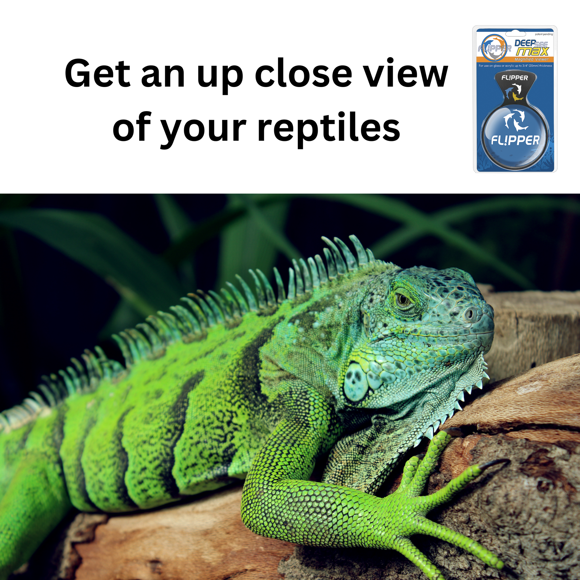 DeepSee Viewer Black Nano 3’’ - Aquarium Viewer