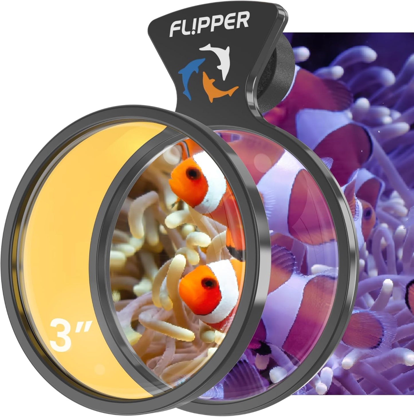 DeepSee Viewer Black - Orange Filter - Aquarium Viewer