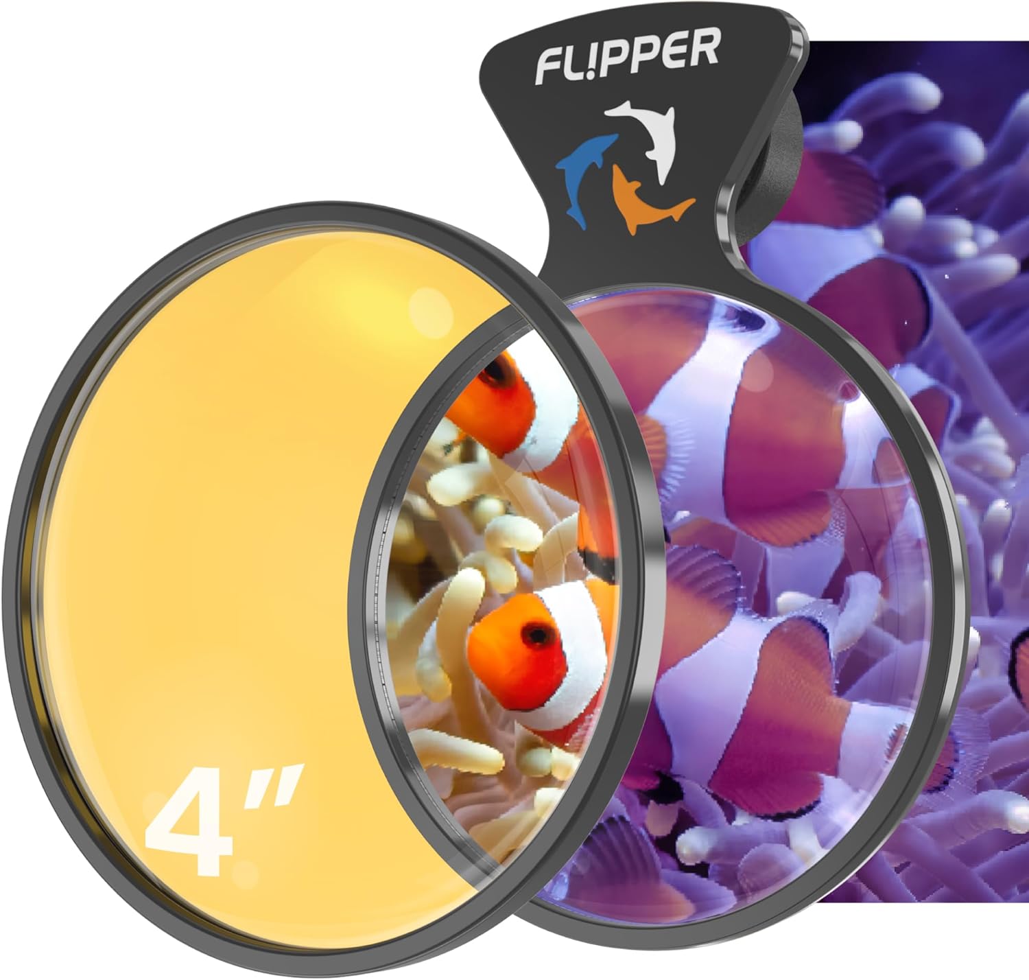 DeepSee Viewer Black - Orange Filter - Aquarium Viewer