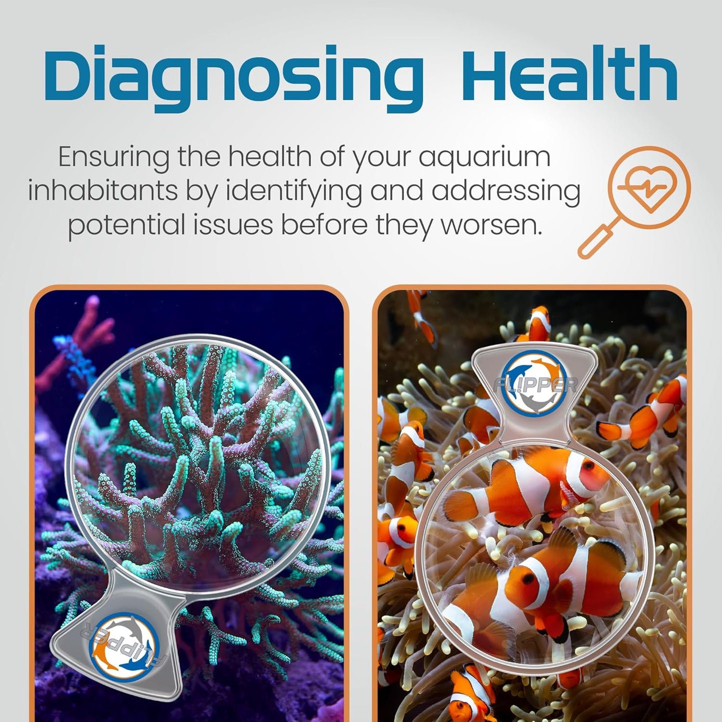 DeepSee Viewer Clear 4’’ - Aquarium Viewer