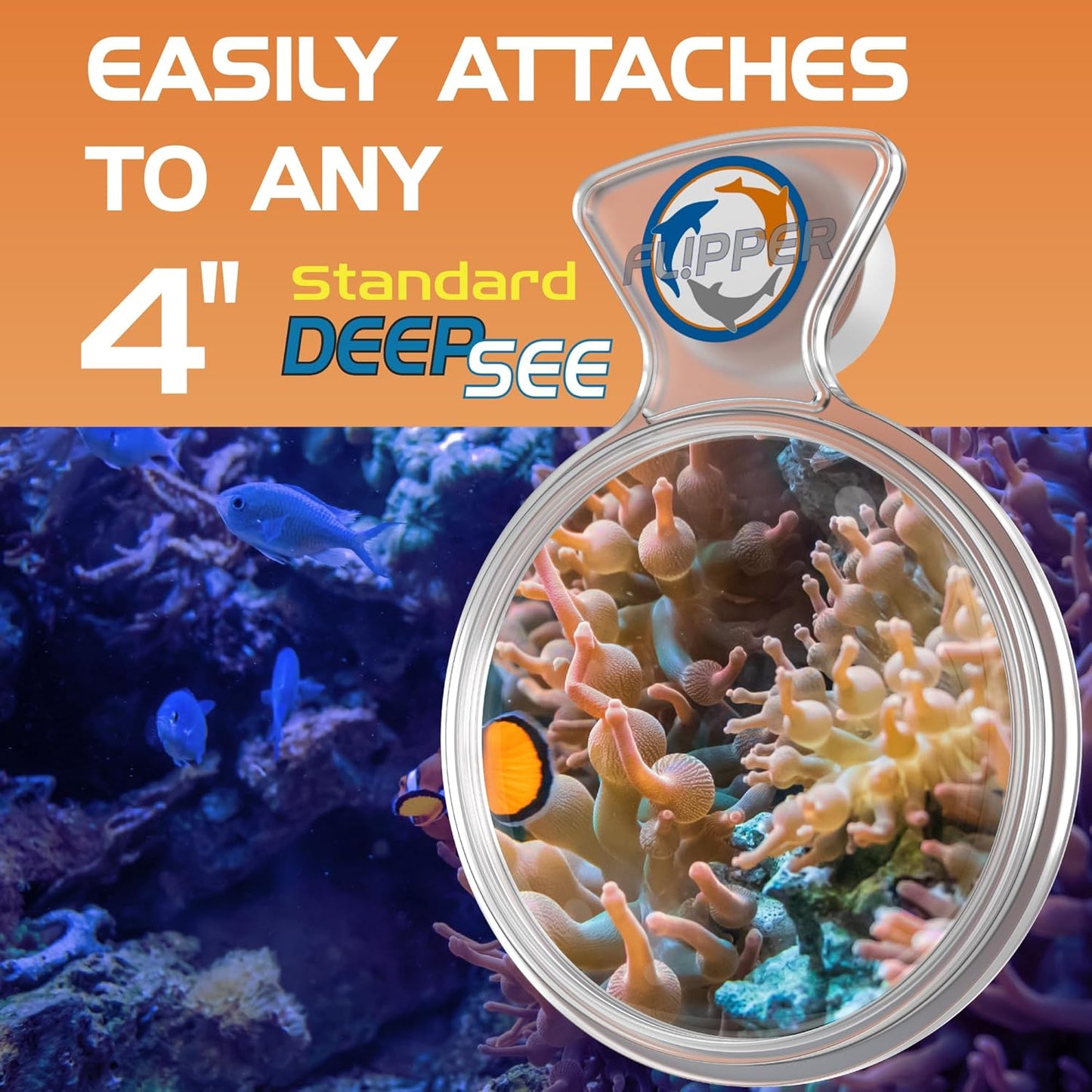 DeepSee Viewer Clear 4’’ - Orange Filter