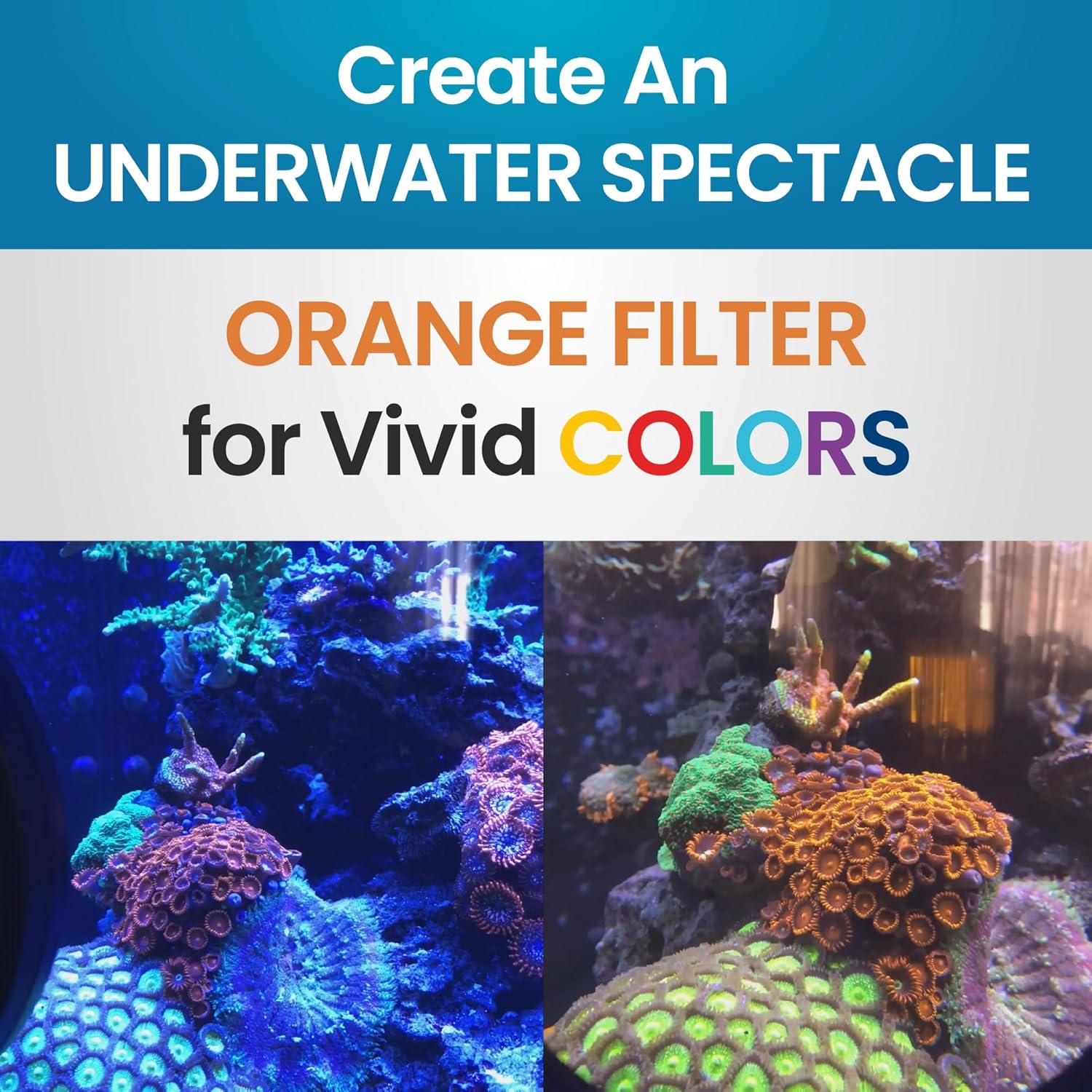 DeepSee Viewer Clear Max 5’’ - Orange Filter