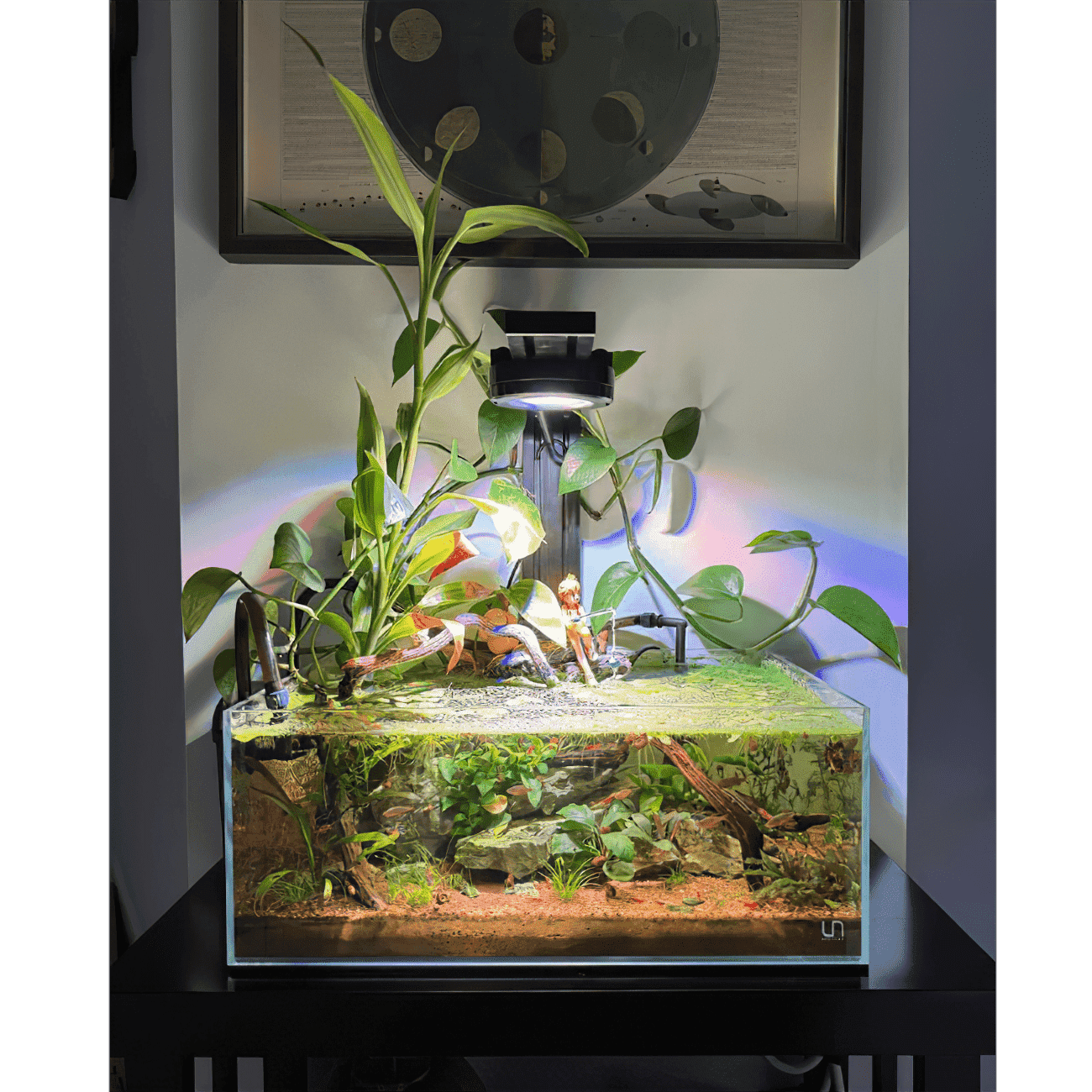 Dual Pixel LED Bundle - lighting bundle pack