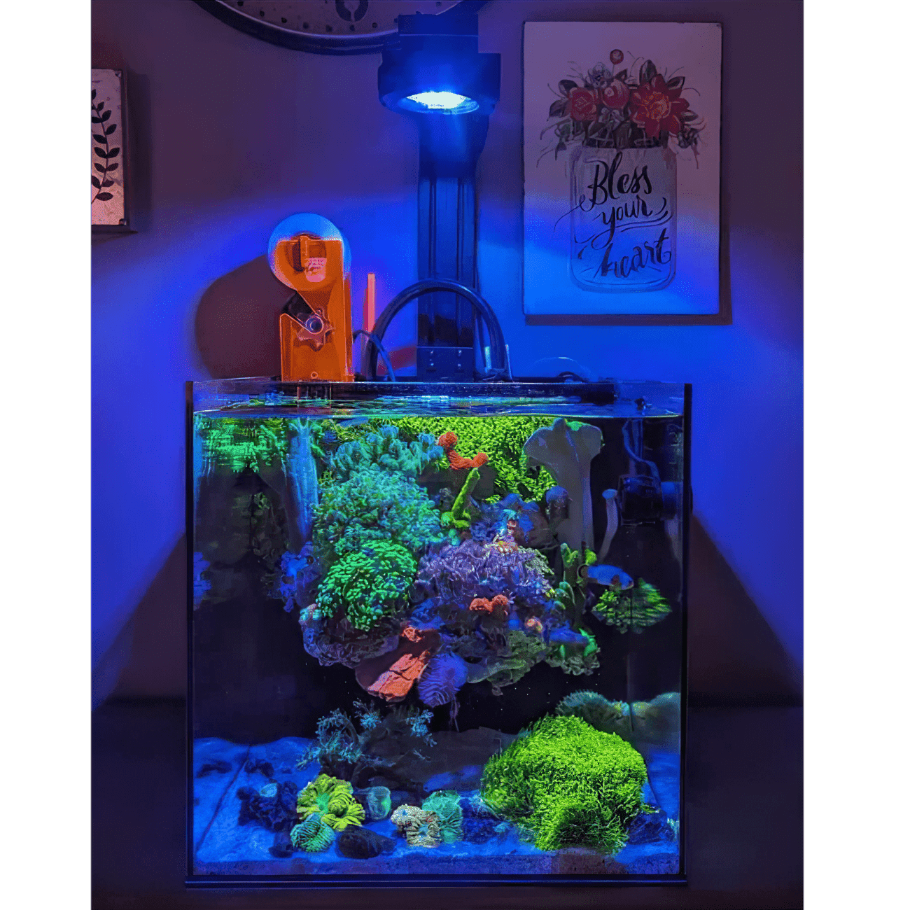 Dual Pixel LED Bundle - lighting bundle pack