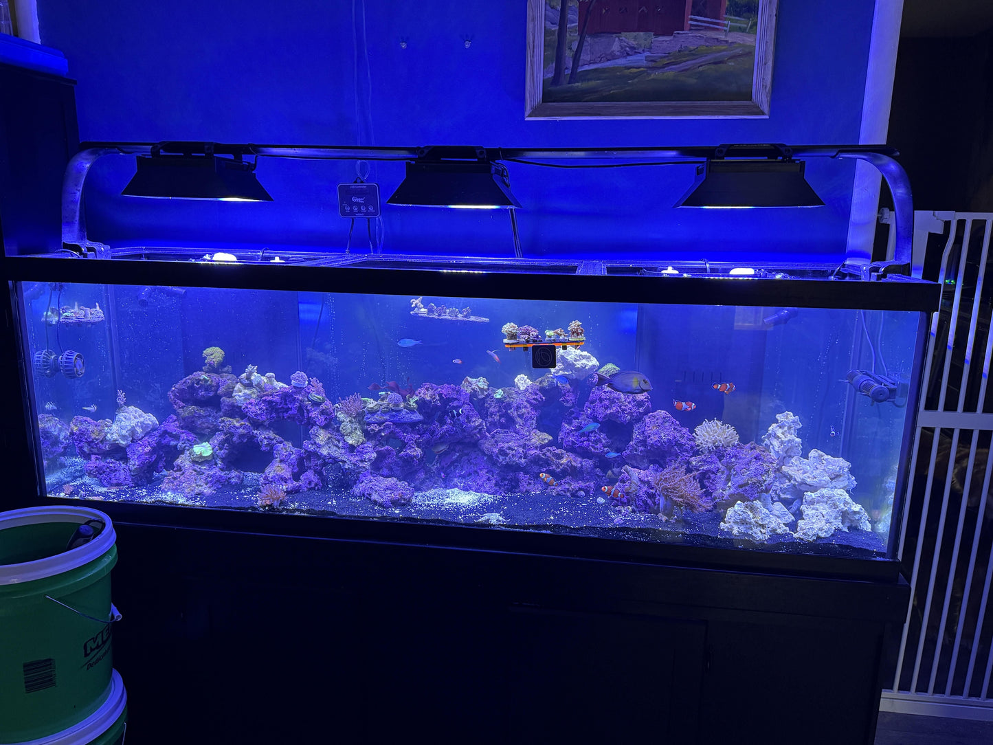 Ecotech Marine Radion XR15 G3 G4 G5 & G6 PRO Light Shade - Animals & Pet Supplies