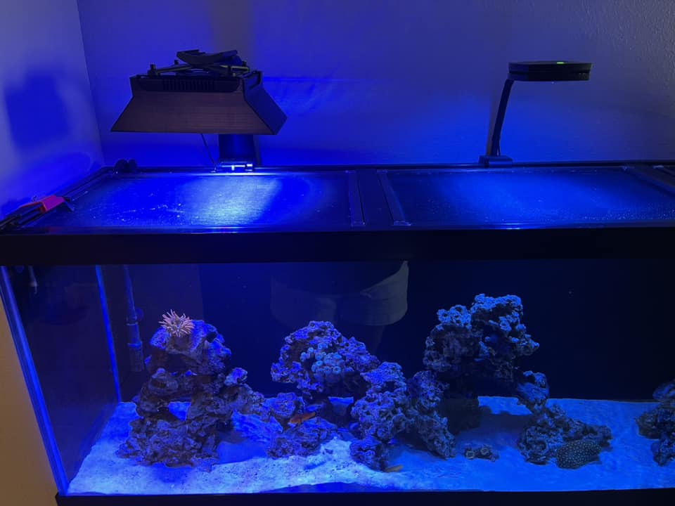 Ecotech Marine Radion XR15 G3 G4 G5 & G6 PRO Light Shade - Animals & Pet Supplies