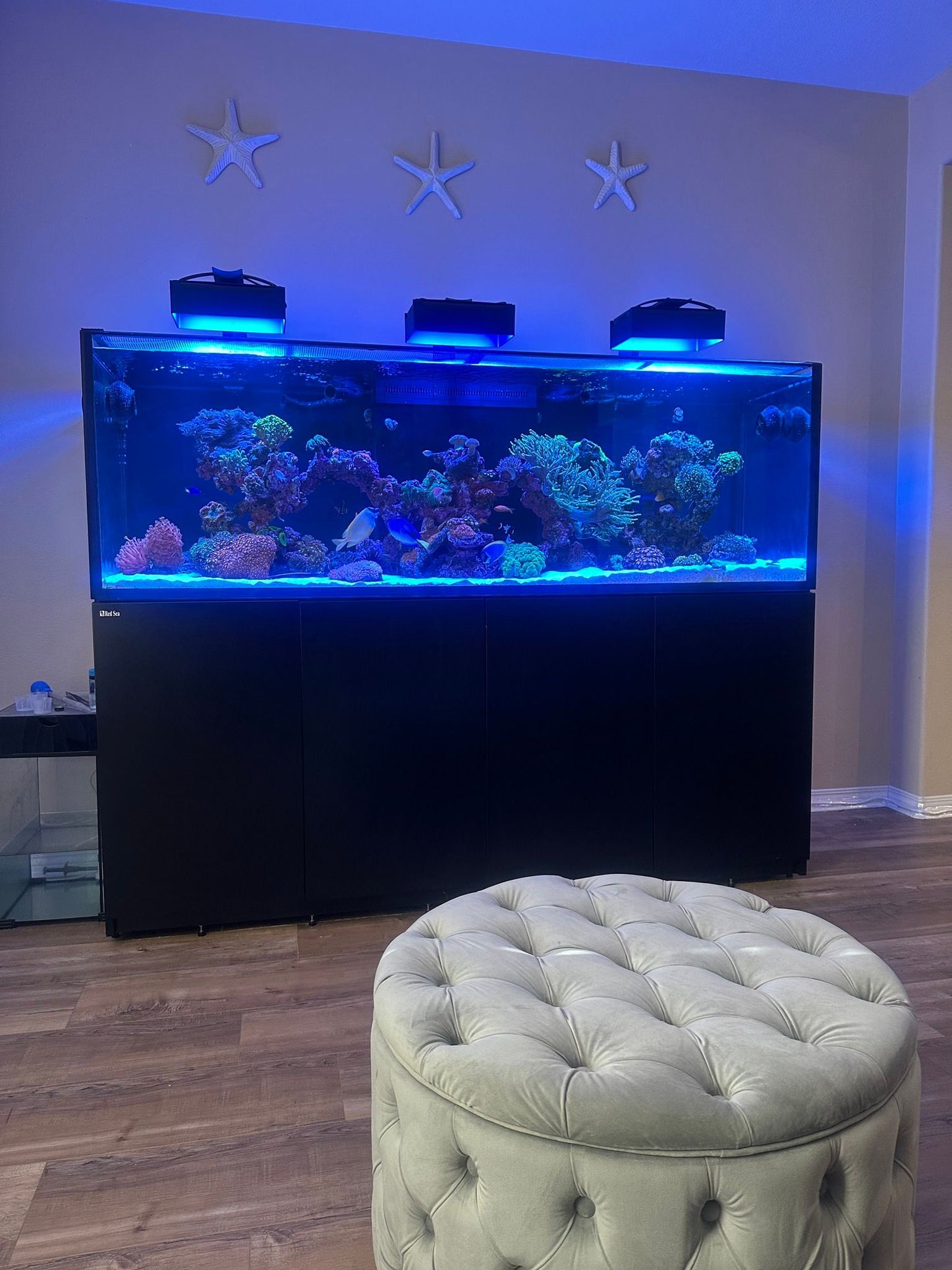 EcoTech Marine Radion XR30 Light Shade - Animals & Pet Supplies