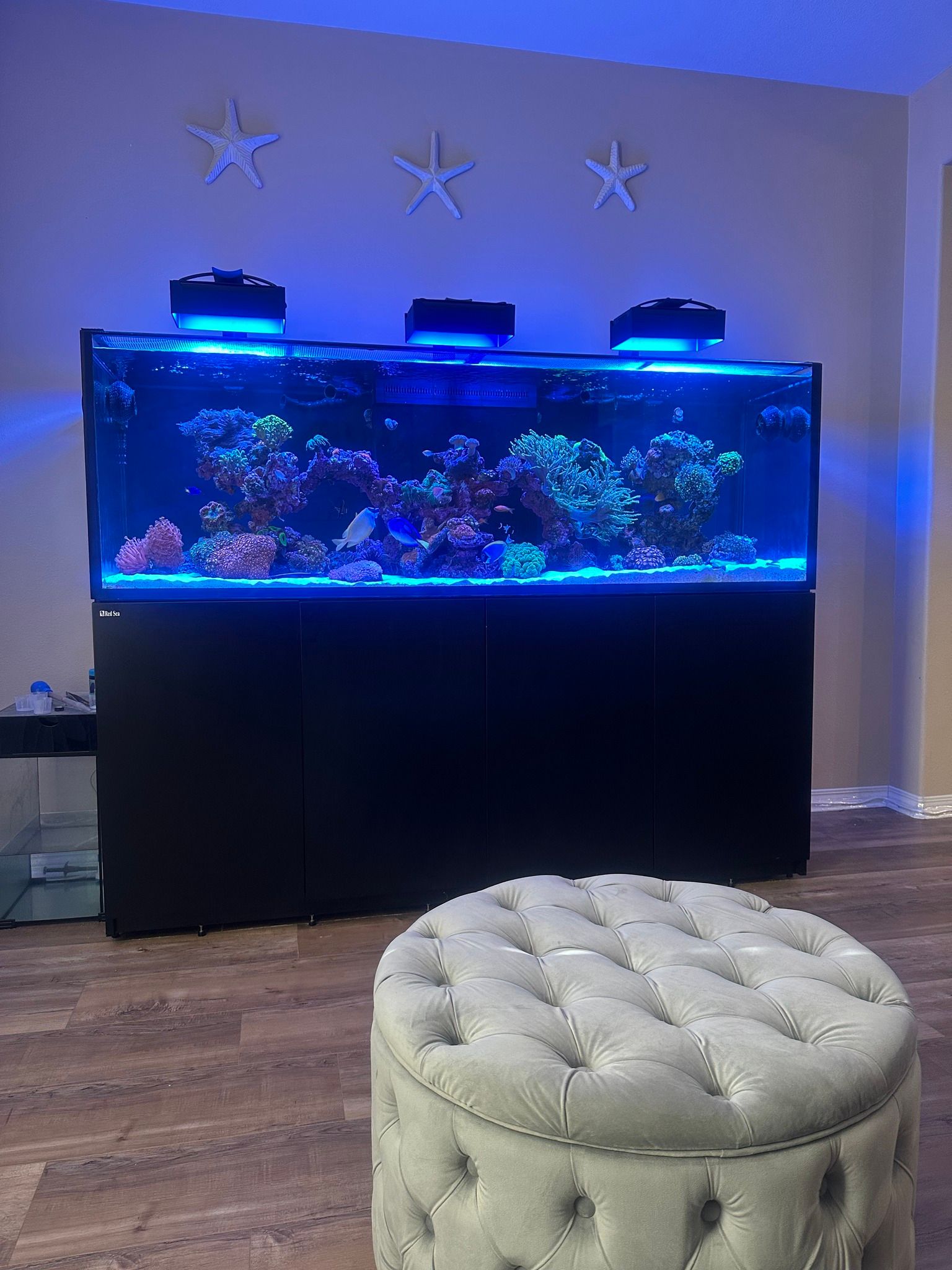 EcoTech Marine Radion XR30 Light Shade - Animals & Pet Supplies