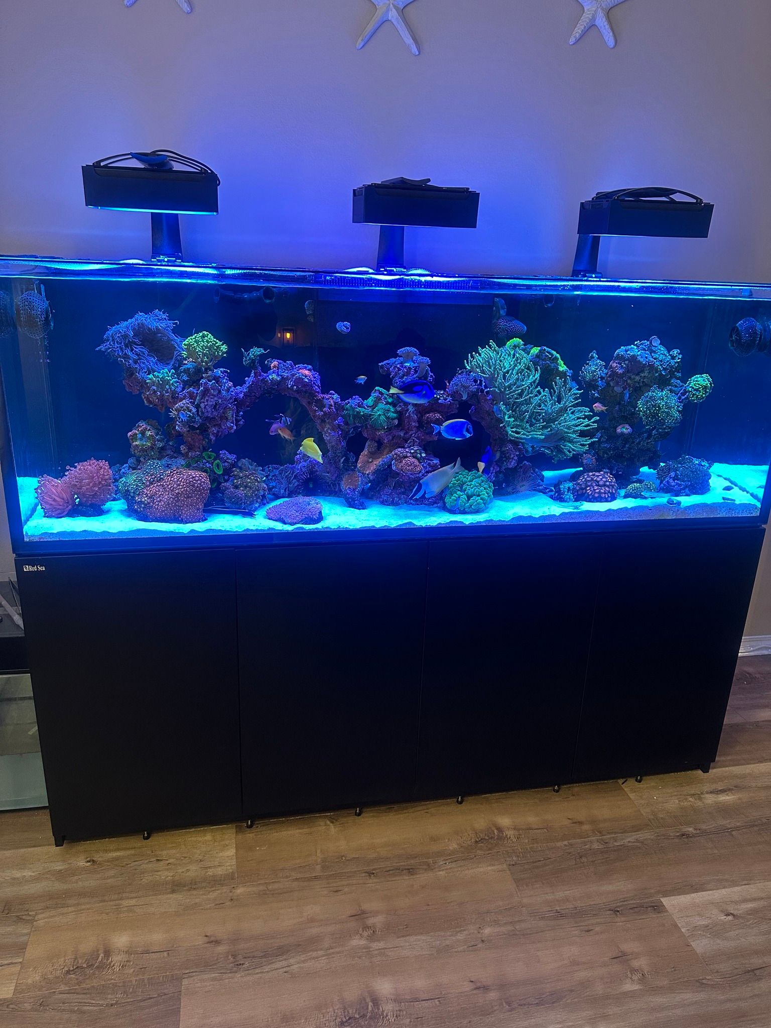 EcoTech Marine Radion XR30 Light Shade - Animals & Pet Supplies