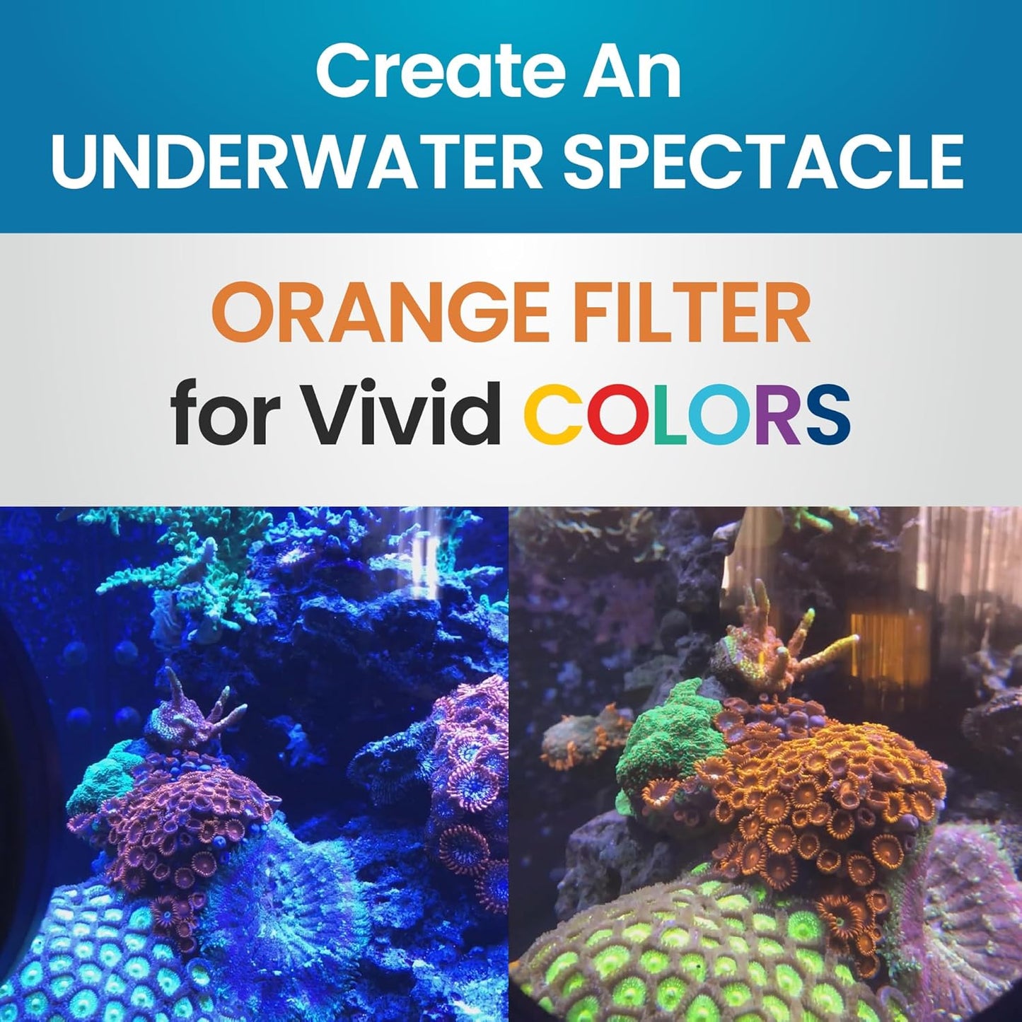 Flipper Flip-Kick Phone Filter Aquarium Reef Lens with Orange and Yellow Lenses - Aquarium Viewer