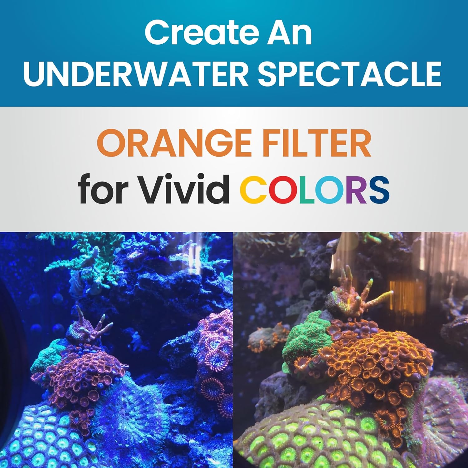 Flipper Flip-Kick Phone Filter Aquarium Reef Lens with Orange and Yellow Lenses - Aquarium Viewer