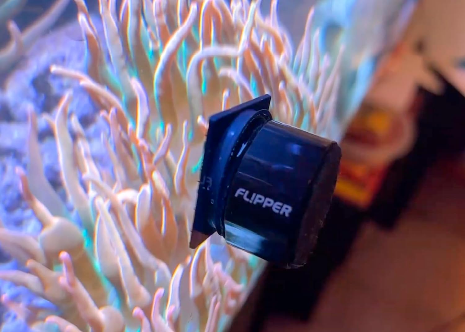 Flipper Pico 2 in 1 Aquarium Magnet Cleaner Replacement Blades 4 Pack - Replacement Blades