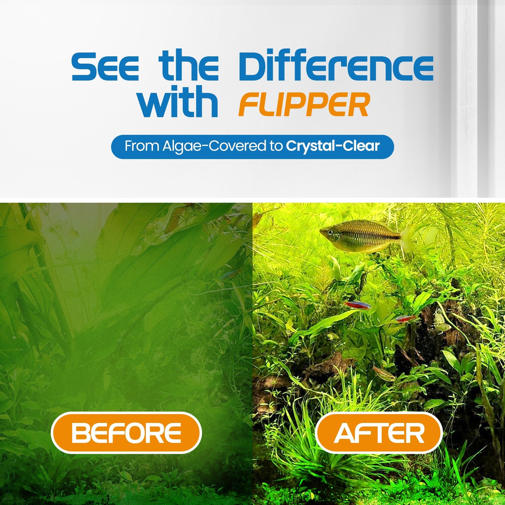 Flipper Platinum Aquarium Algae Scraper - 10’’ - Hand Held Scraper