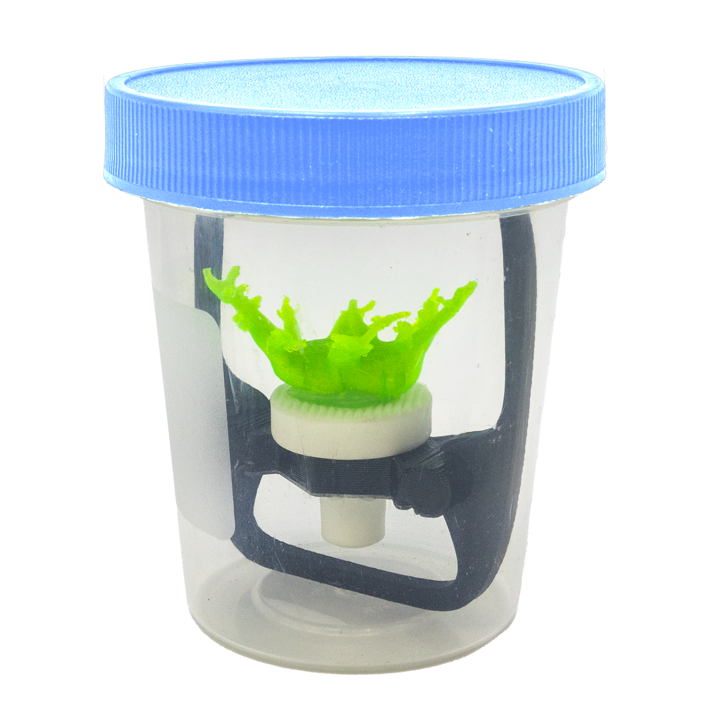FragLoc™ - Coral Frag Transport Cup Kit - 4oz / 1 - Animals & Pet Supplies