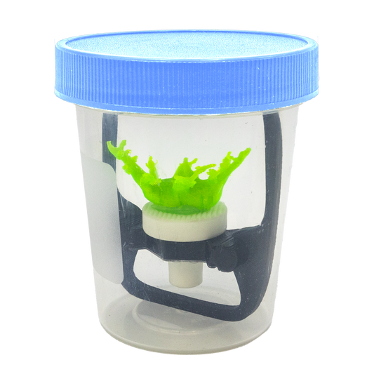 FragLoc™ - Coral Frag Transport Cup Kit - 4oz / 1 - Animals & Pet Supplies
