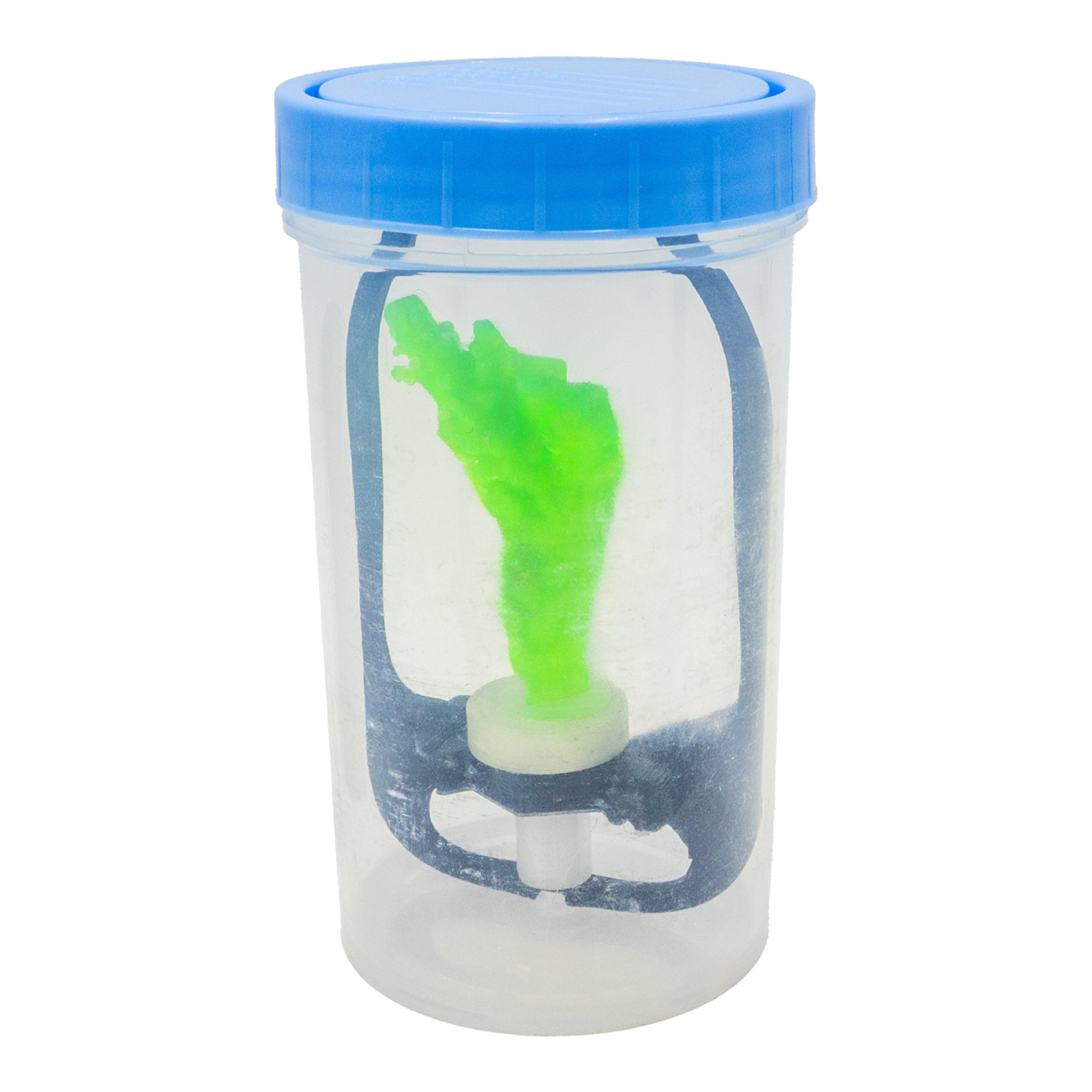 FragLoc™ - Coral Frag Transport Cup Kit - 8oz / 1 - Animals & Pet Supplies