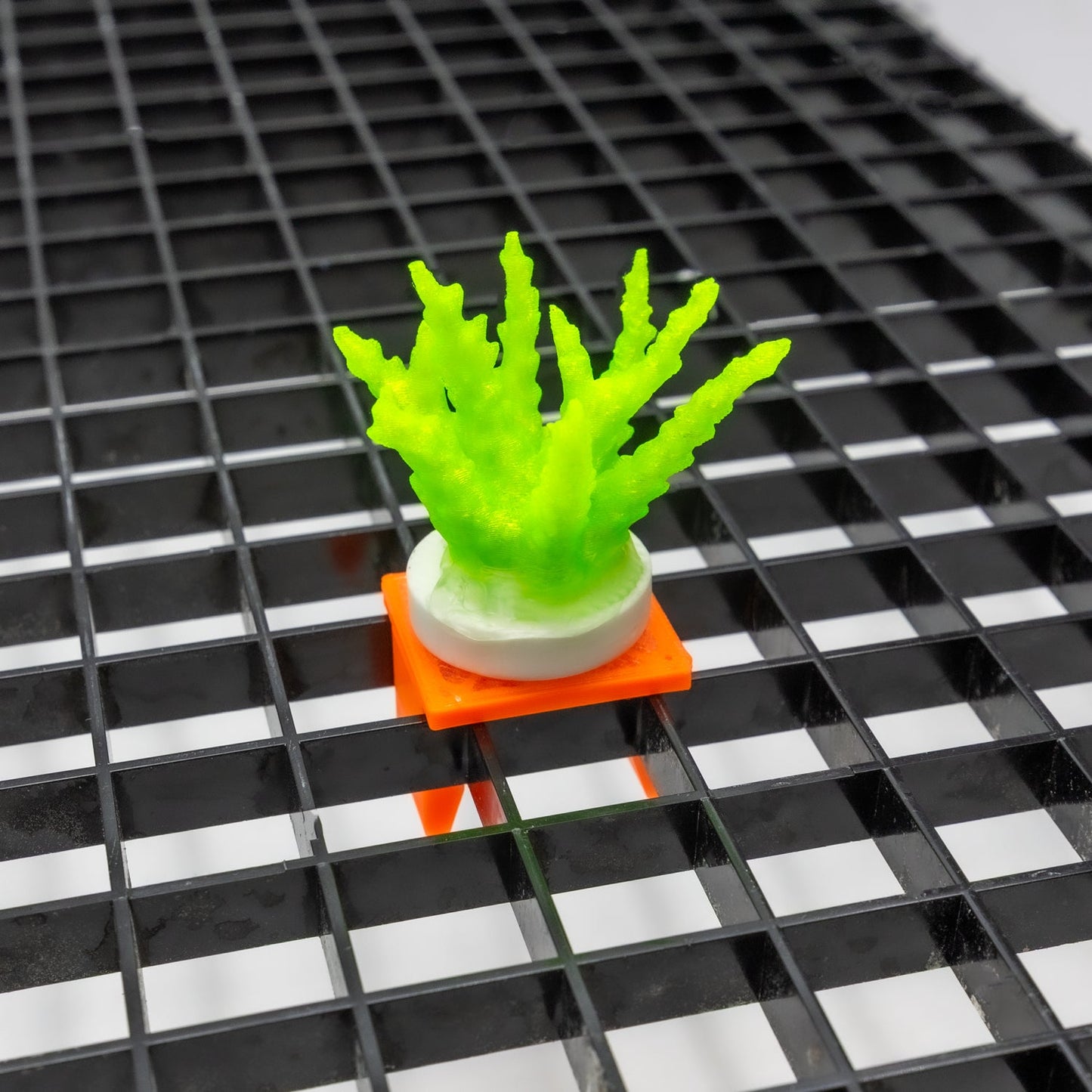 FragLoc™ – Egg Crate Snap-In Frag Plug Holders (Pack of 5) - Animals & Pet Supplies