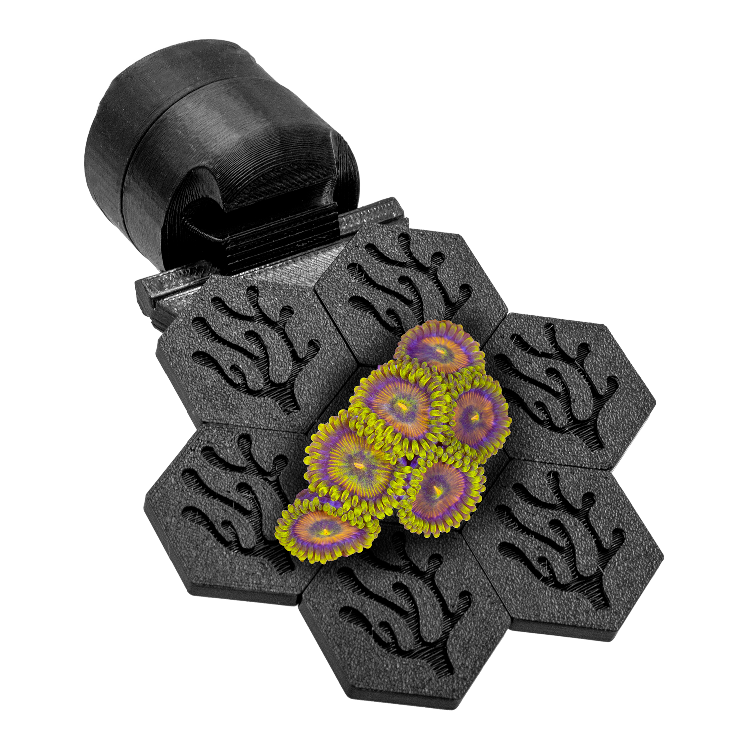 FragLoc™ - Magnetic Coral Frag Grow-Out Kit - Animals & Pet Supplies