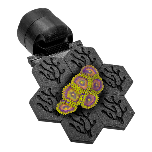 FragLoc™ - Magnetic Coral Frag Grow-Out Kit - Animals & Pet Supplies