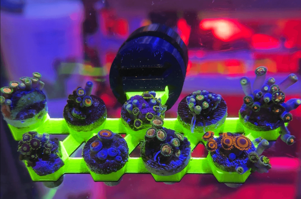 FragLoc™ - Magnetic Coral Frag Rack Kit - Animals & Pet Supplies