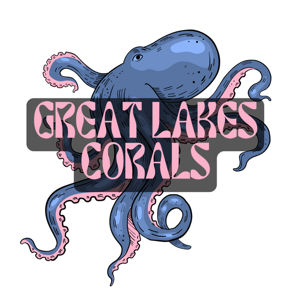 Great Lakes Corals