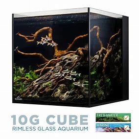 IceCap 10 Gallon Cube AIO Rimless Glass Aquarium - Aquarium