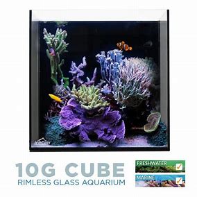 IceCap 10 Gallon Cube AIO Rimless Glass Aquarium - Aquarium