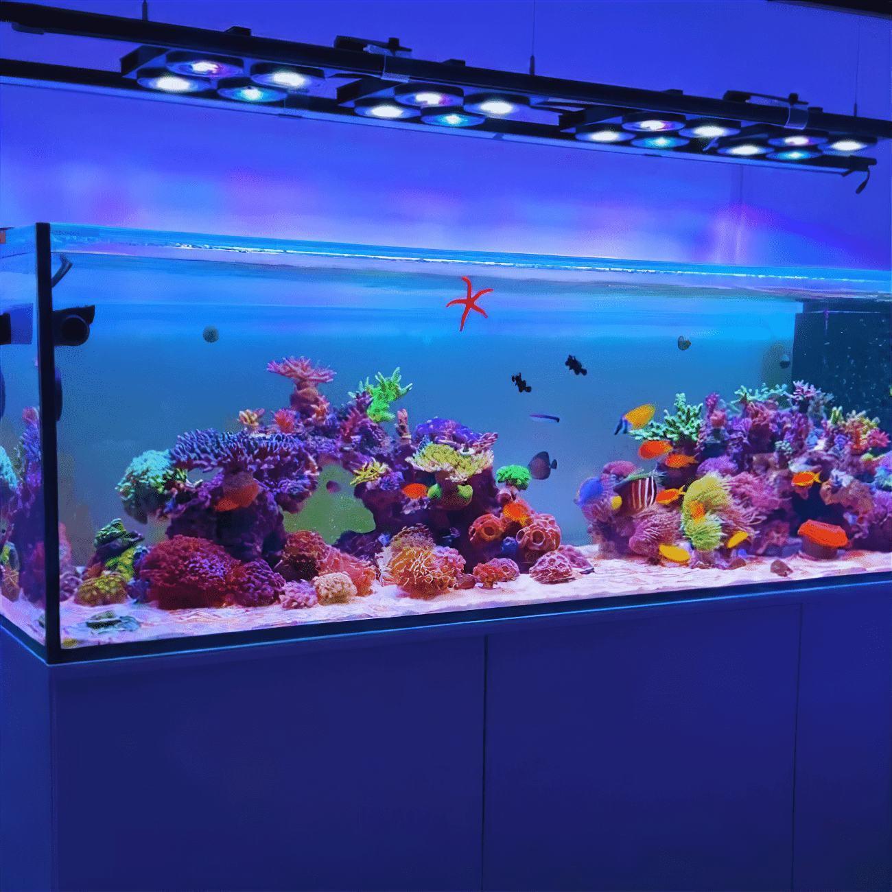 Illumagic X4 - Reefer Pro - AQUARIUM LIGHTING