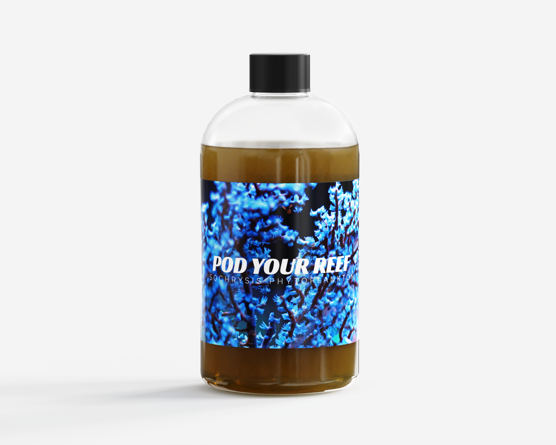 Isochrysis galbana Phytoplankton - Phytoplankton