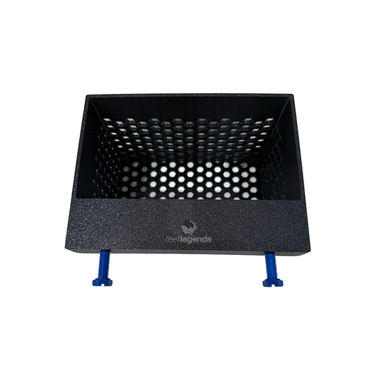 Macro Algae Box - 3D Printing