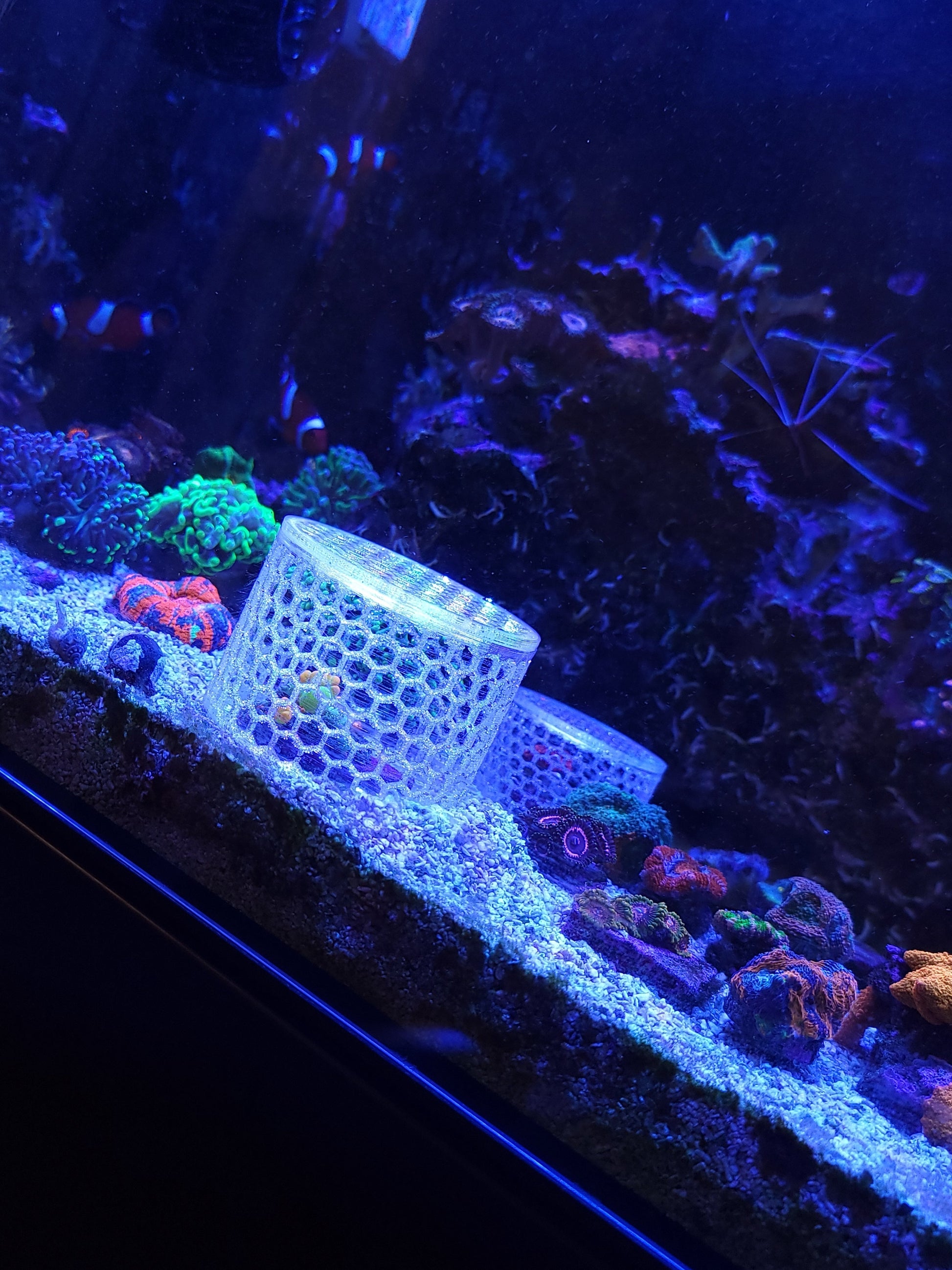 Mushroom Cage - Home & Garden